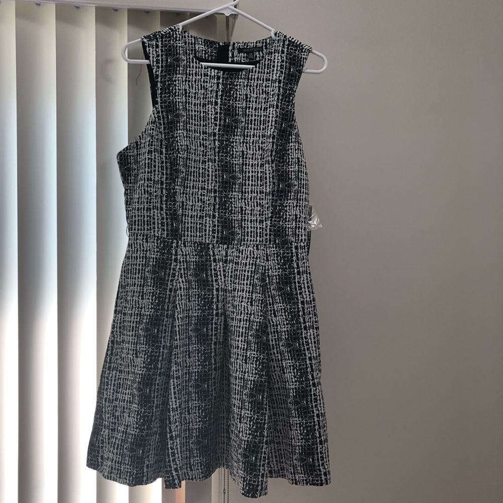 The Limited Black & White Dress